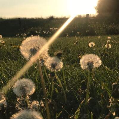 دانلود آهنگ  نه خیرتون خواستیم نه شرتون